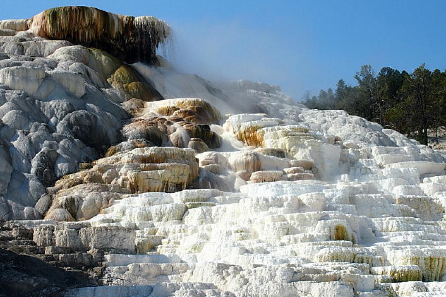 Norris Geyser Basin