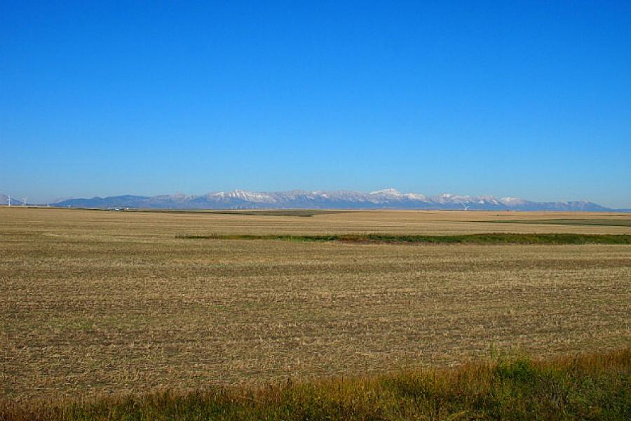 The Rockies from the Alberta Plain