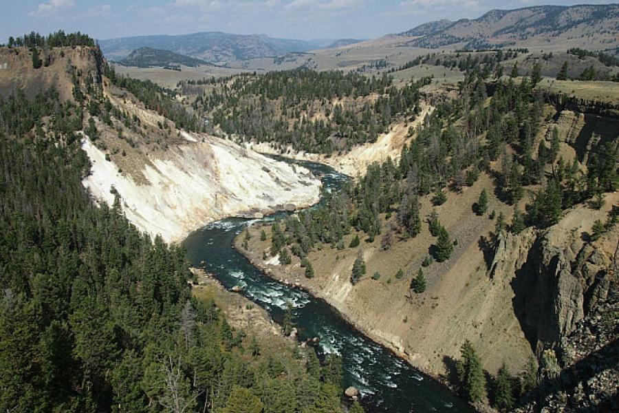 The Yellowstone River