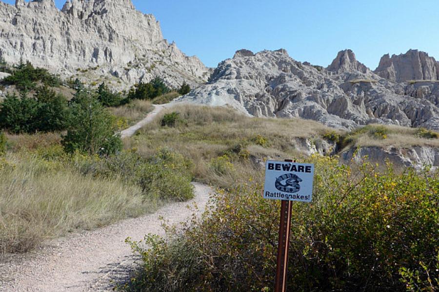 Badlands, good mainly for rattle snakes