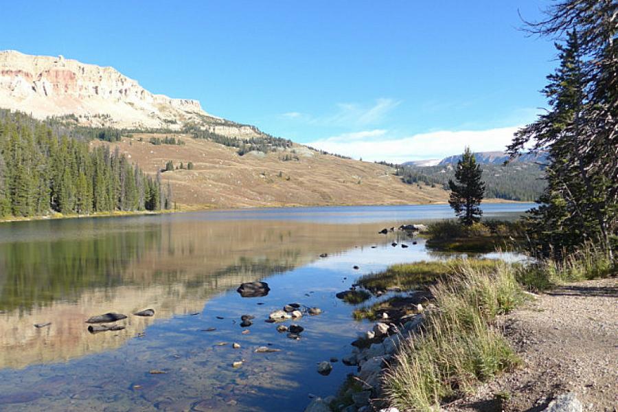 On the way to the Beartooth Hwy