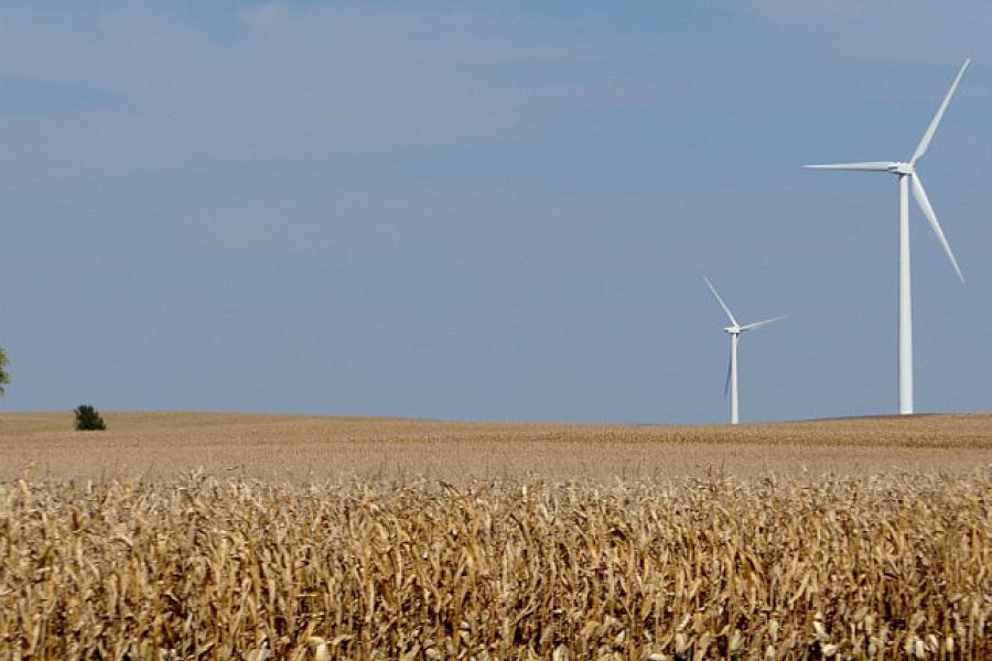 Corn and wind turbines