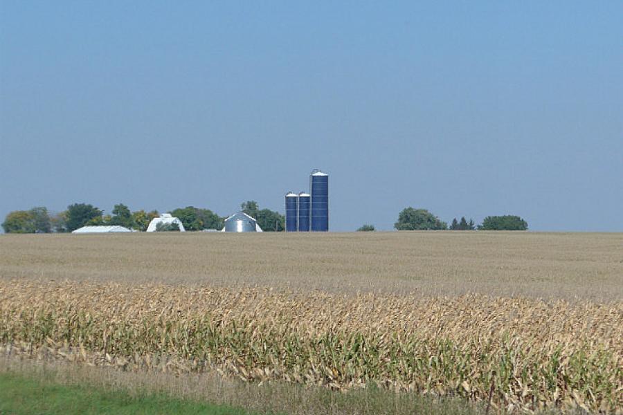 Iowa corn