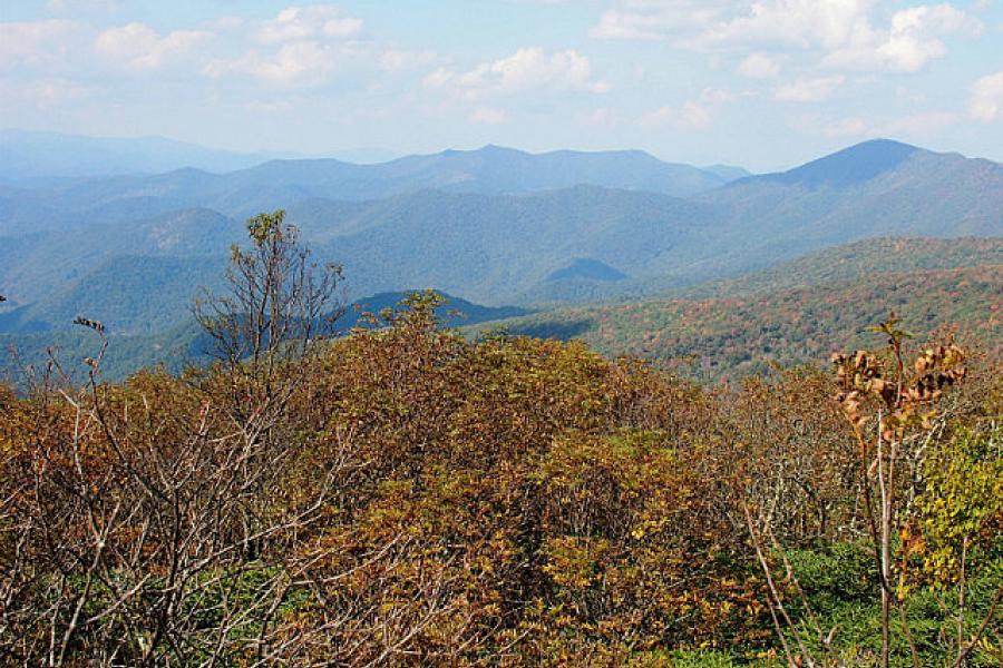 Fall colour in the Pisgah National Forest