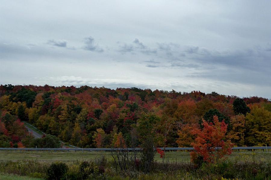 Fall colours were starting to show in the Mountains