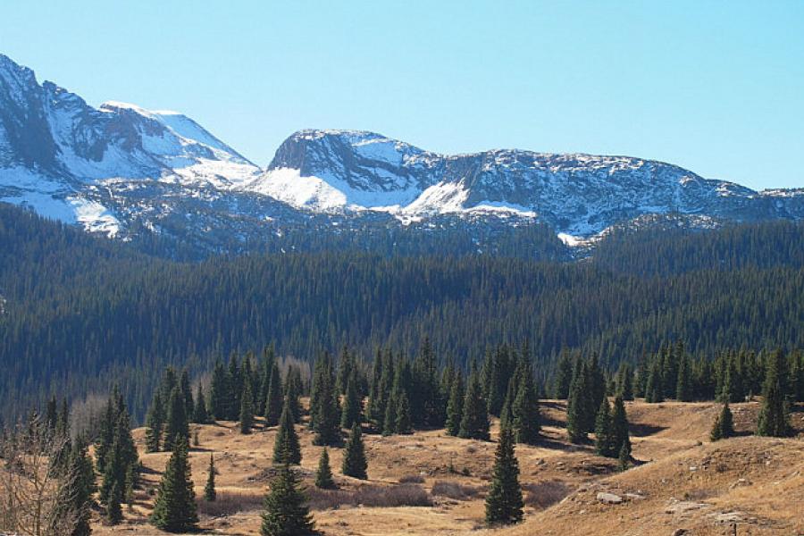 Near Molas Pass north of Durango CO