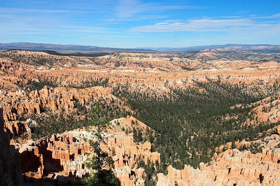 Bryce Canyon NP from the Fairview Point