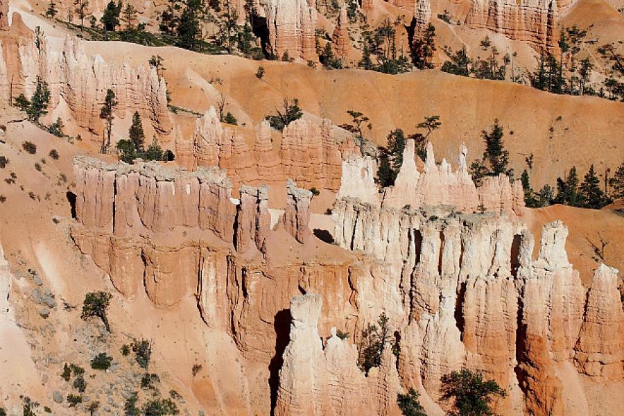 Hoodoos close up