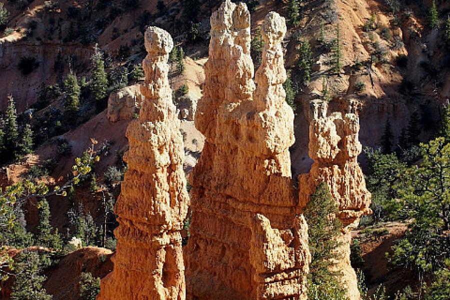 Hoodoos from Sunset Point