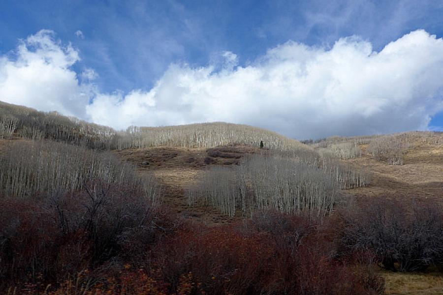 Utah 12, Dixi National Forrest at 2926M