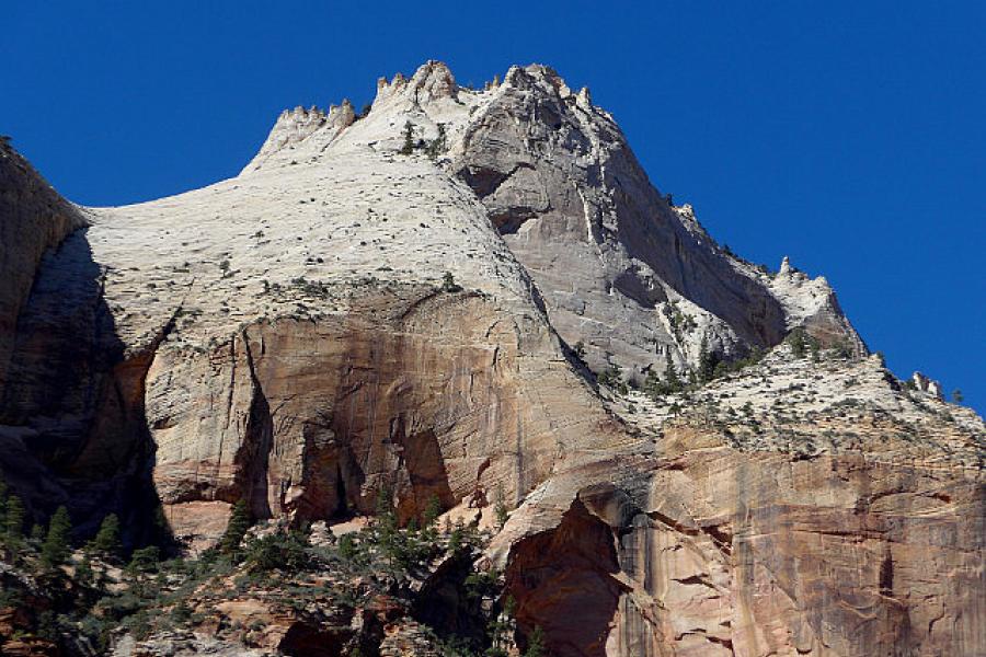 View along Zion Canyon Scenic Dr