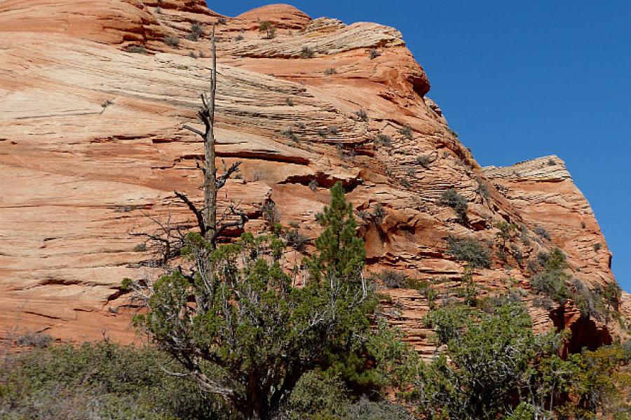 Zion NP along Mt Carmel Hwy