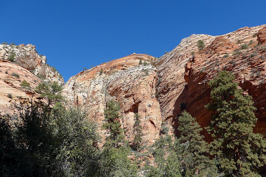 Zion NP