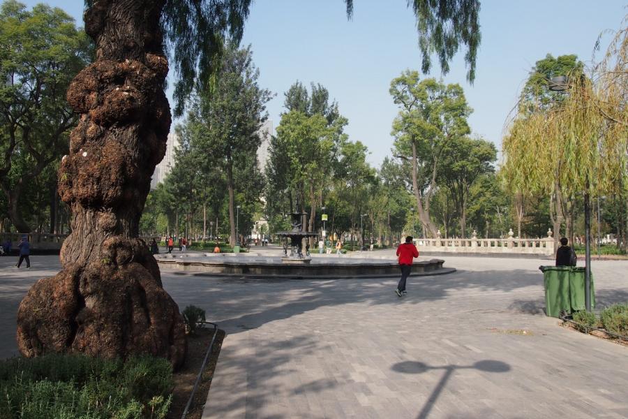 Gardens of the Alameda Central CdM