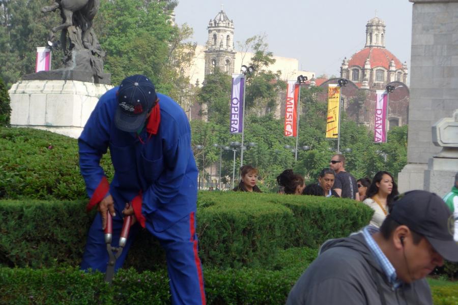 Gardens of the Alameda Central