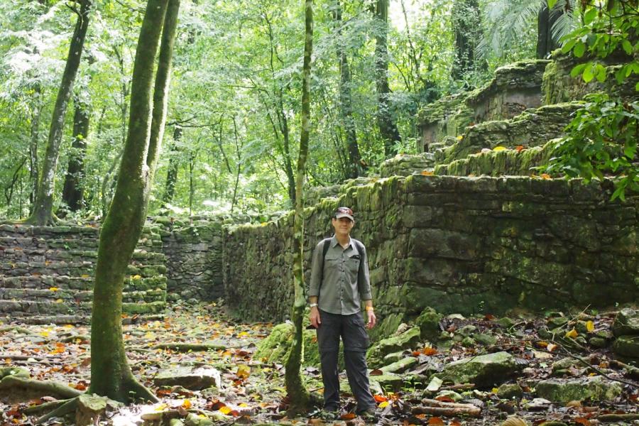 Ruins in the jungle, Palenque