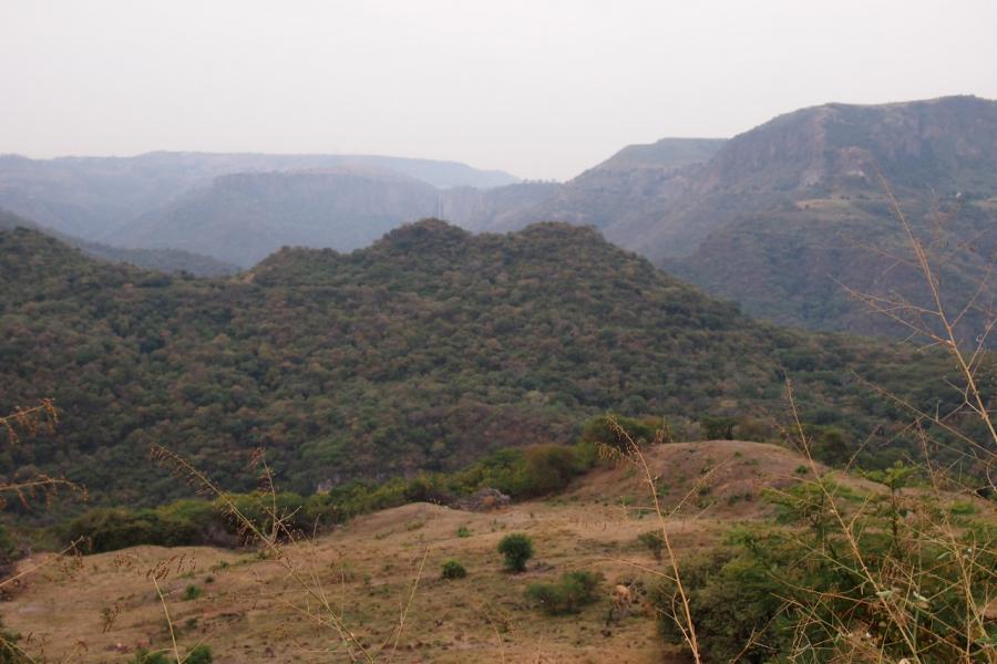 The mountains near Zacatecas