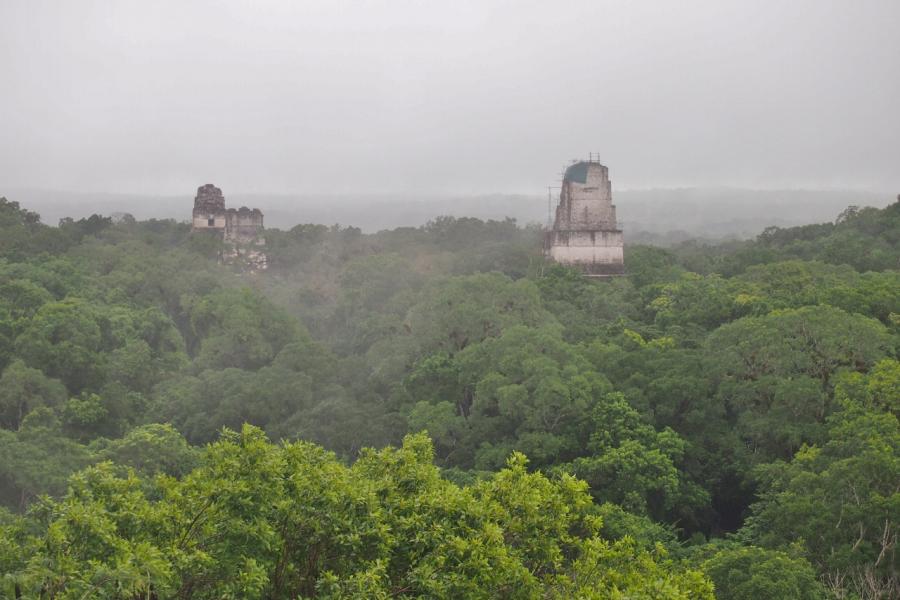 The Tikal pyramids emerge from the jungle canopy