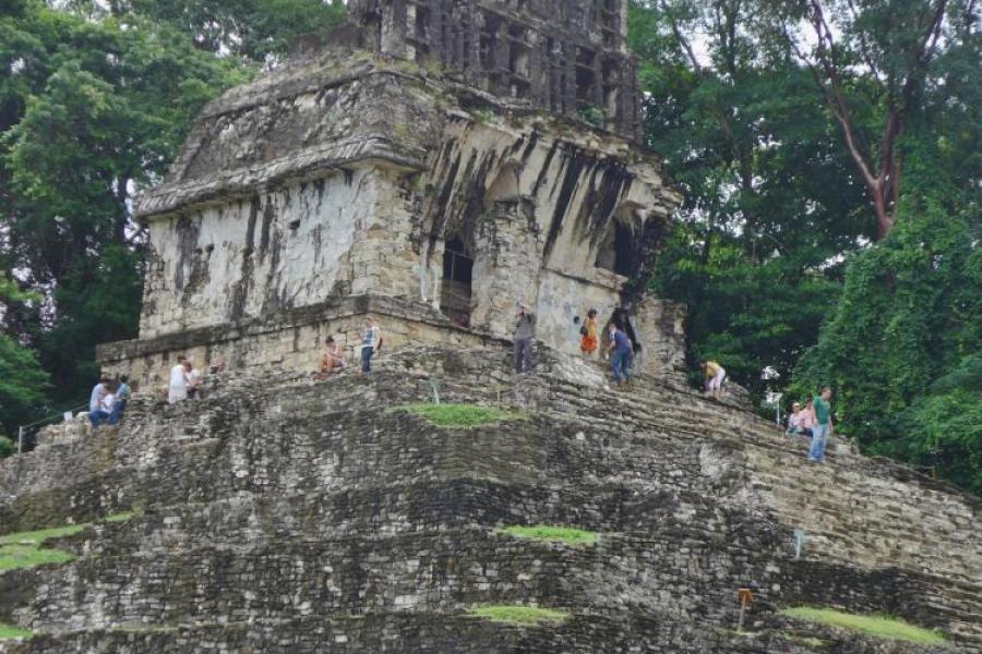 The Tikal buildinds had a unique cox-comb decoration