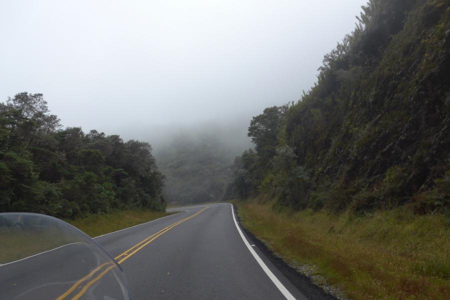 Costa Rican roads are good for Elephants