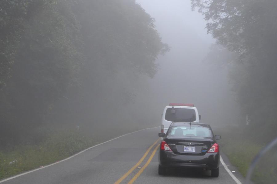 There is a reason it is called a cloud forrest