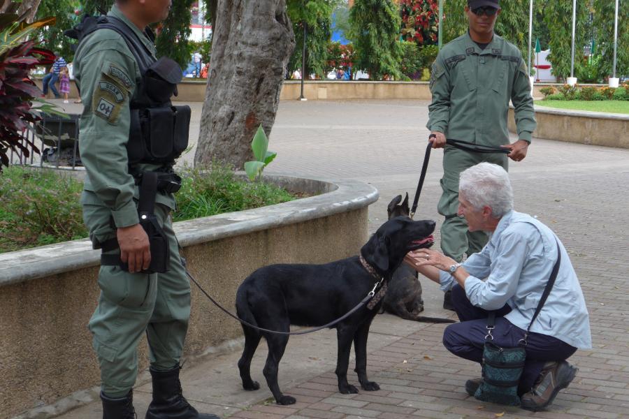 Jo gets some doggy time in David, Panama