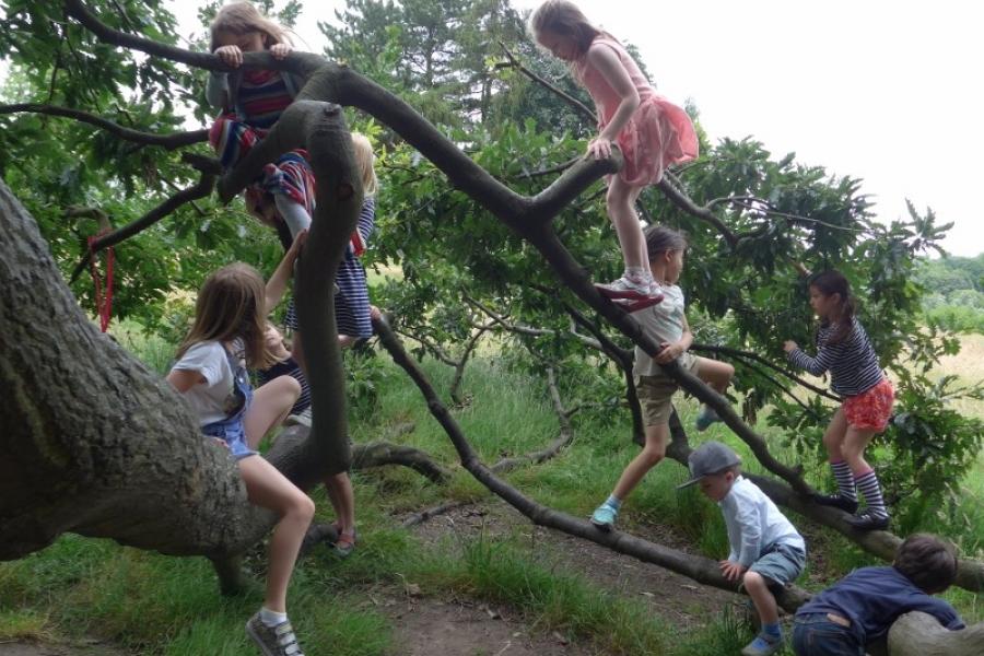 Erin's 7th birthday at Hanstead Heath