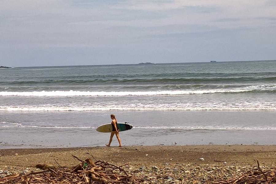 Lone surfer on the Pacific Coast