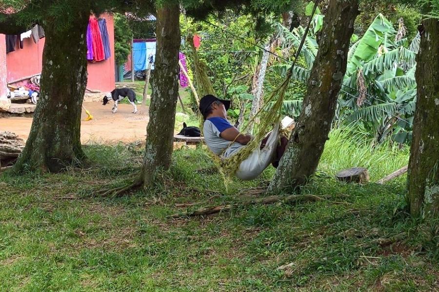 Siesta time near Boquete