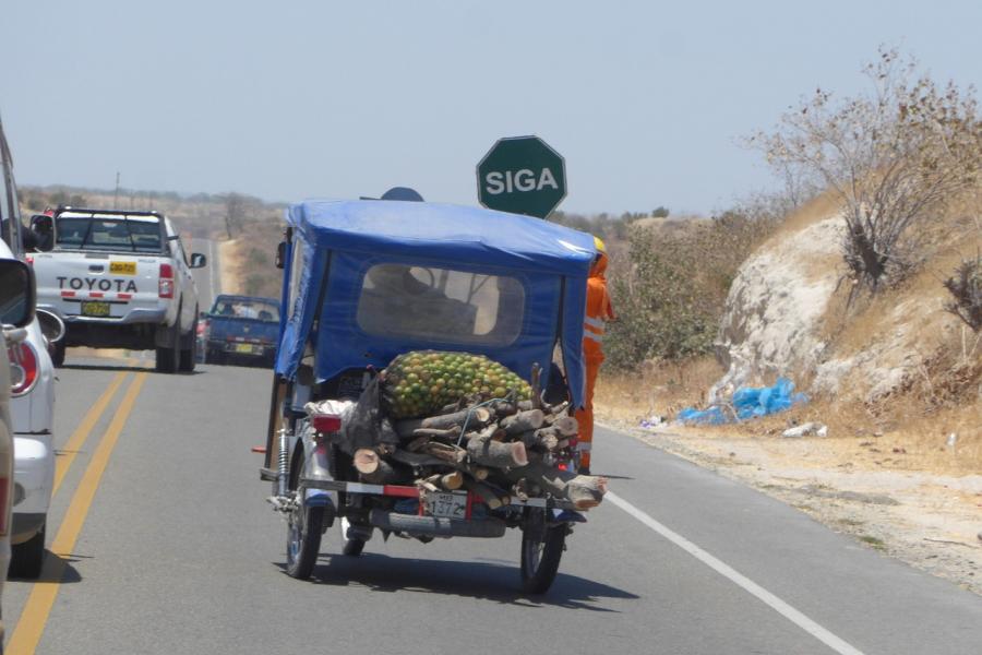 A Life Behind Bars. This photo supports a blog by Team Elephant travelling in Peru.