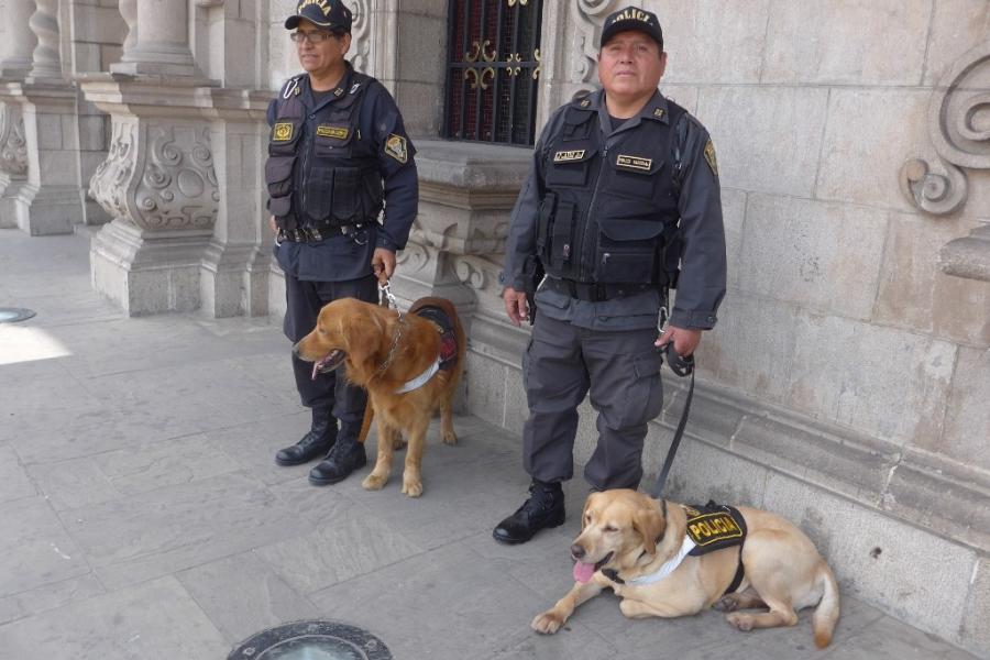 Differences. This photo supports a blog by Team Elephant travelling in Peru