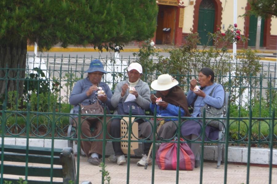 The Crystalline Day and Some Unintended Outcomes. Team Elephant in Peru and Bolivia.