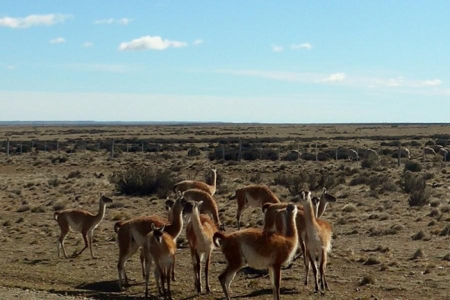 Some things about Wind. The further travels of Team Elephant in South America.