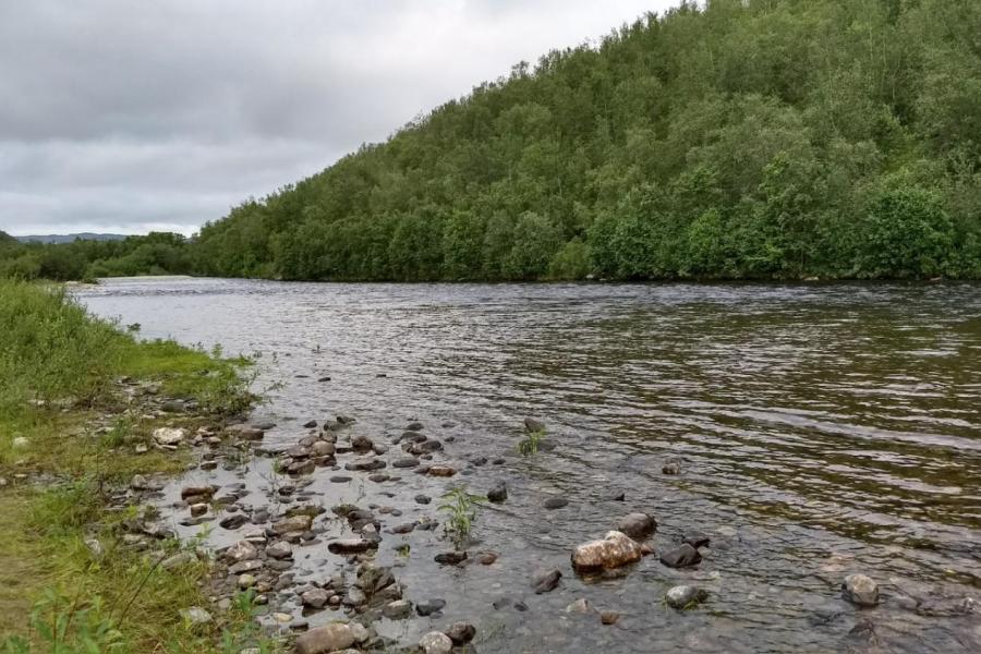 Salmon river at Stabbursdalen, Norway