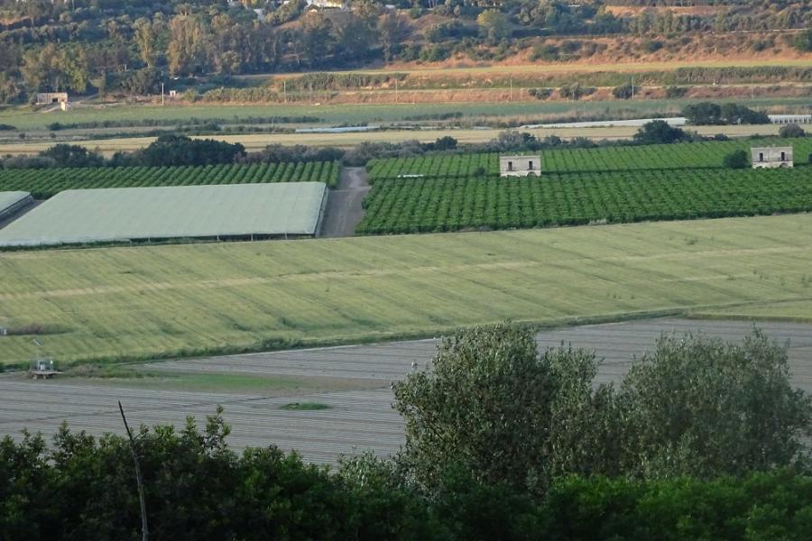 overlooking valley