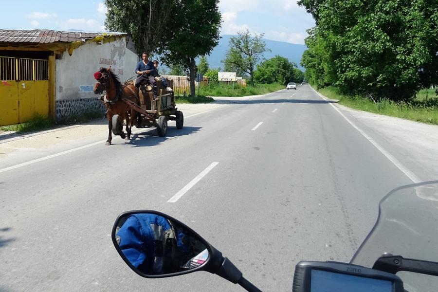 horse and cart with pretty red pom-pom