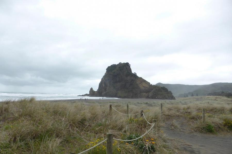 Lion Rock - Piha