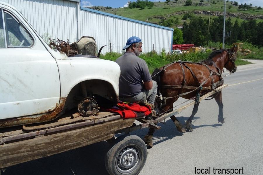 local transport