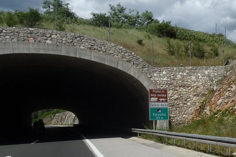 bears and wolves tunnel in croatia