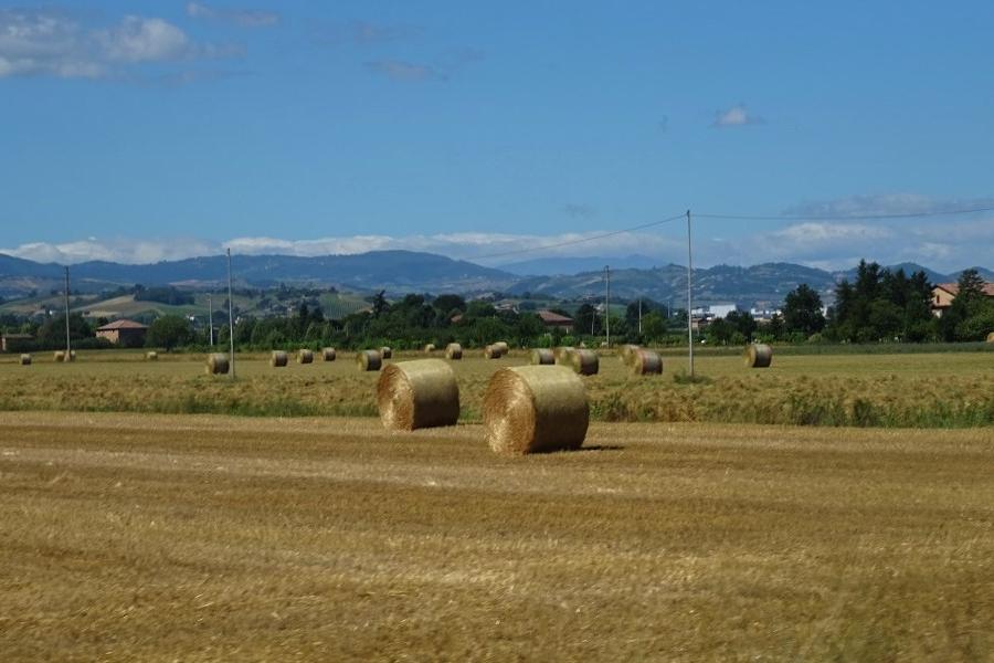 italian flatlands