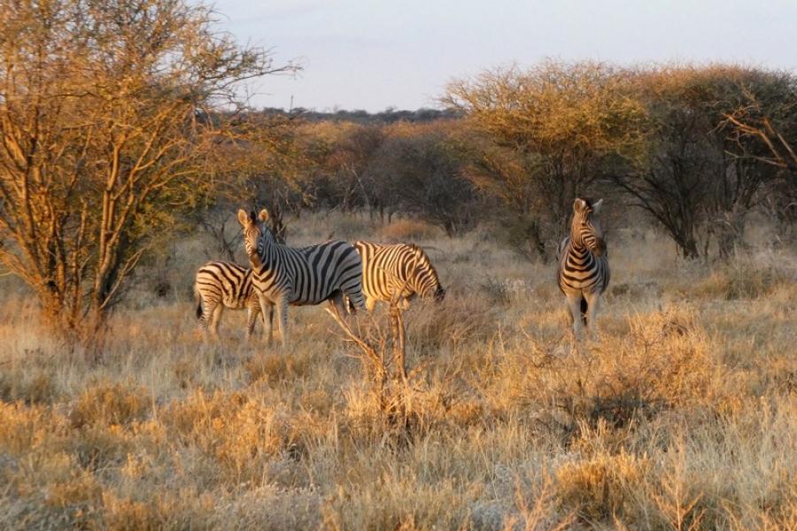 Namibia