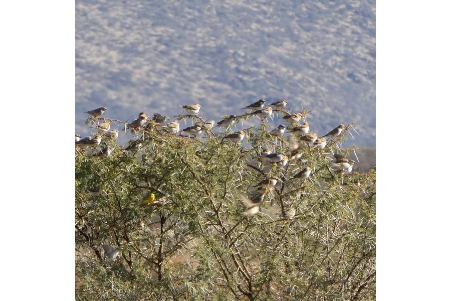 Namibia