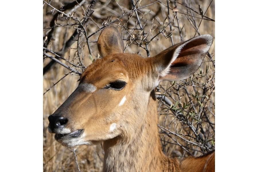 Namibia