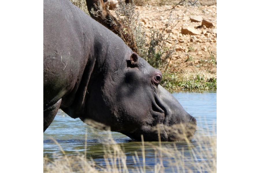 Namibia