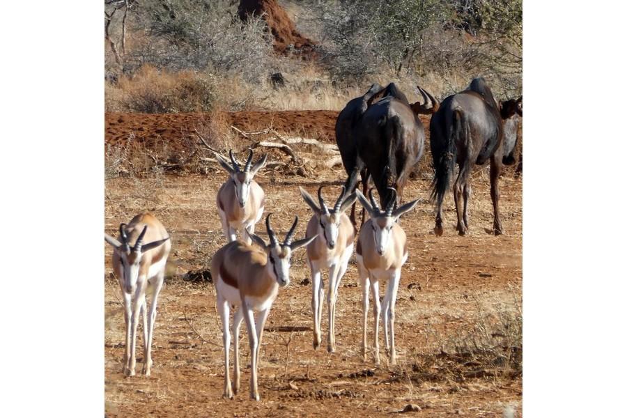 Namibia