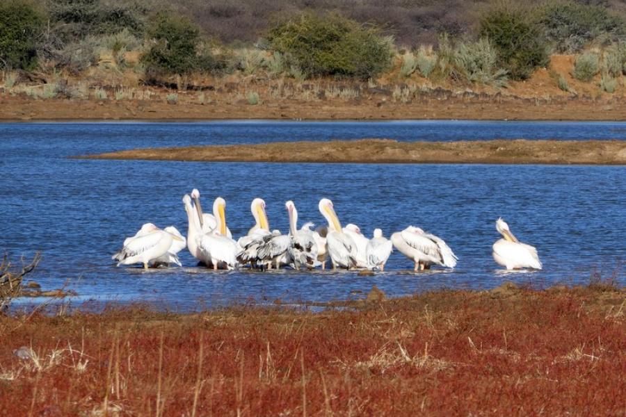 Namibia