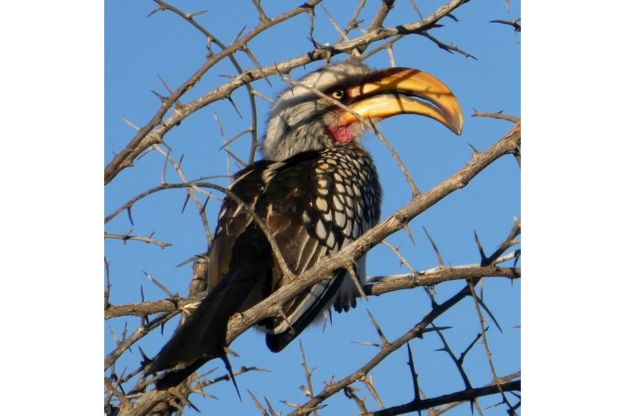 Namibia