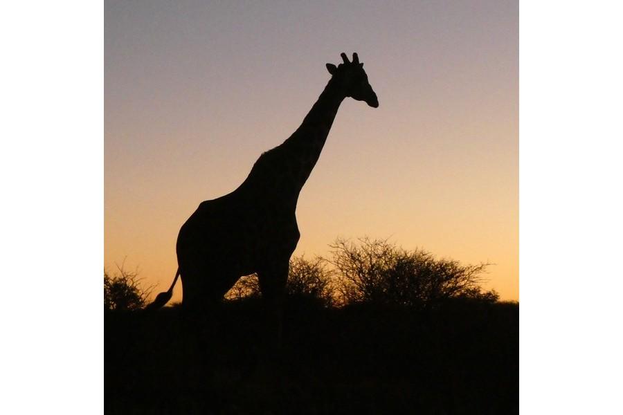 Namibia