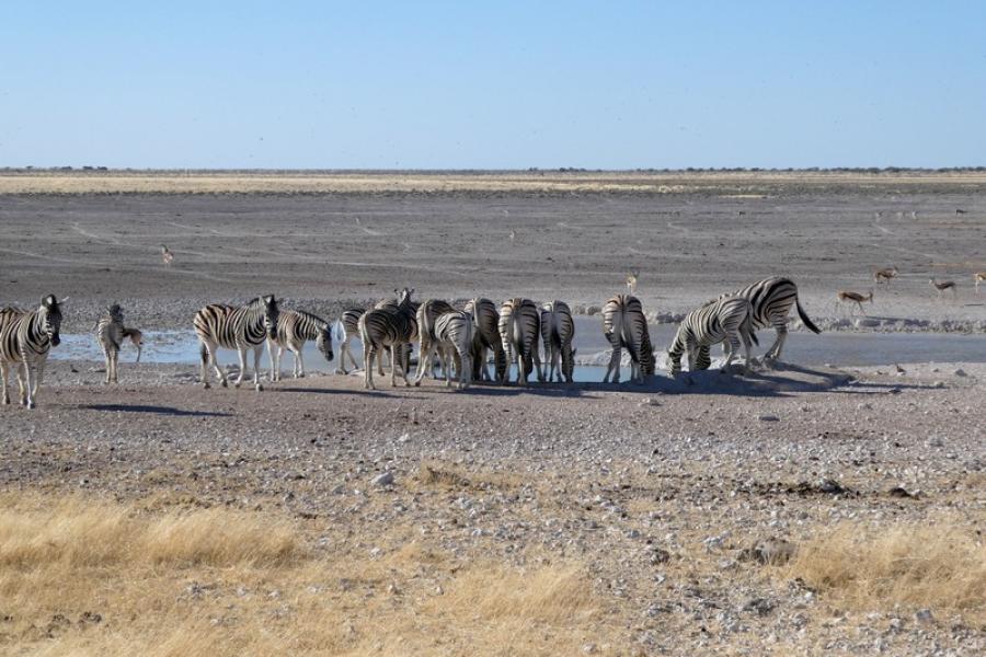 Namibia