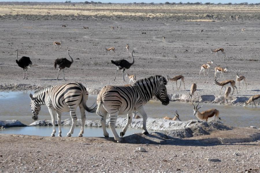 Namibia